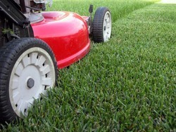 Jim's Mowing Camden South Pic 1