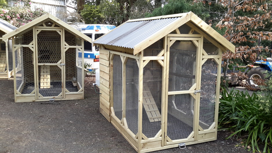 Chicken Coops in Avonsleigh Pic 1 - Coop No 3 Large Size