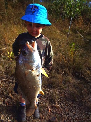 Whitsundays Fishing World Pic 4 - Ray our little bait packer