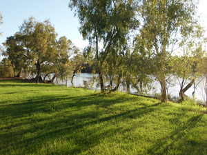 Cunnamulla Riverside Caravan Park Pic 2 - Warrego Riverside Tourist Park