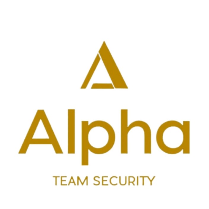 Alpha Team Security Pic 2