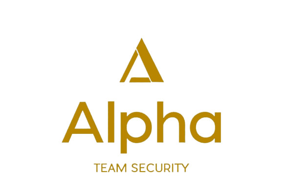 Alpha Team Security Pic 1