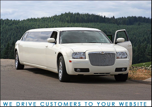 SEO Services in Business Pic 1 - We drive customers to your website business