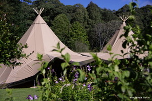 Tipikata Tipi Hire Pty Ltd Pic 3