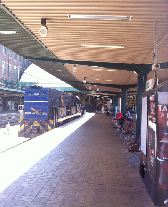 Great Southern Rail Pic 2 - Indian Pacific