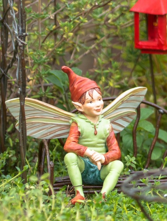 My Little Fairy Garden In Byford Wa Interest Groups Truelocal My Little Fairy Garden