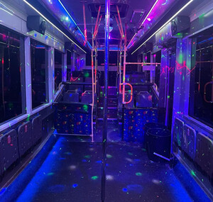 Sydney Wide Party Buses Pic 2 - Inside of a party bus