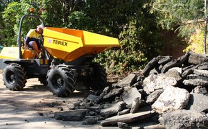 Earthmoving Hire Australia Pic 2 - dump truck hire Sydney Site Dumpers for hire