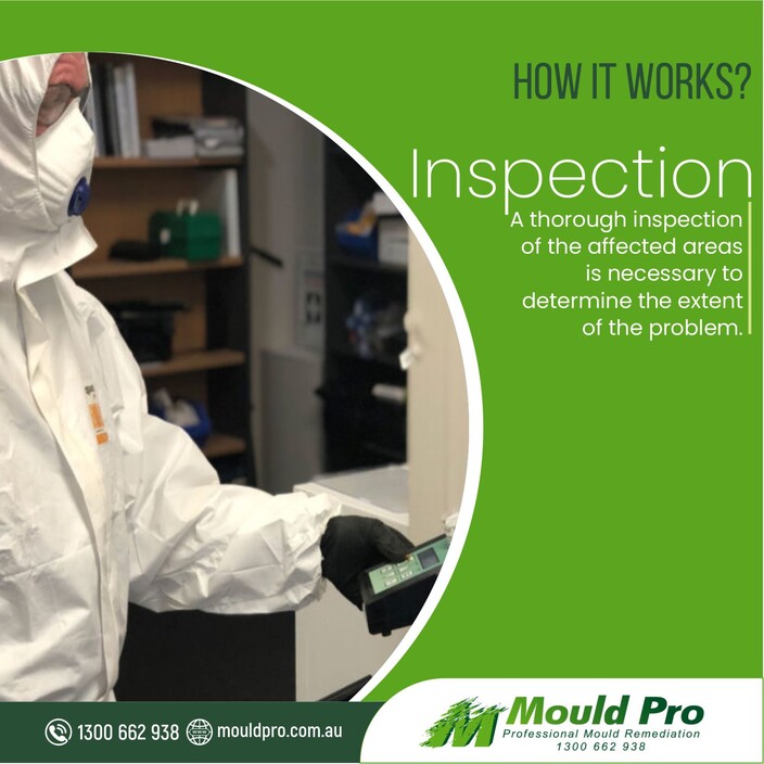 Mould Pro Sydney Pic 1 - httpsmouldprocomaumouldtesting