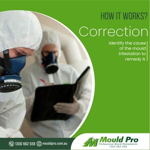 Mould Pro Sydney Pic 2 - httpsmouldprocomaurisingdamp