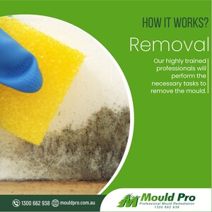 Mould Pro Sydney Pic 3 - httpsmouldprocomaumouldremoval