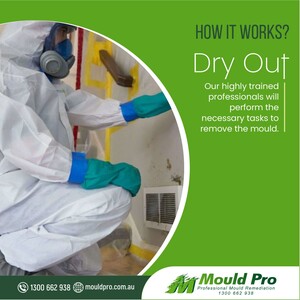 Mould Pro Sydney Pic 4 - httpsmouldprocomaustructuraldrying