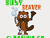 Busy Beaver Cleaning Company Pic 1