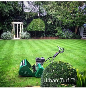 Urban Turf Pic 4 - Cylinder mowing and Turf Management