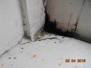 Ellis Building Inspections Pic 4 - Timber Rot