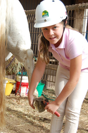 Beltain Park Riding Centre Pic 3