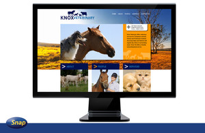 Snap Dalby Pic 2 - Website Design for knoxvets