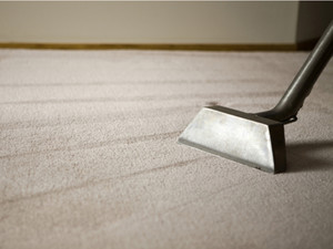 Everfresh Carpet and Tile cleaning Pic 2