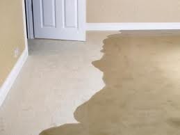 Everfresh Carpet and Tile cleaning Pic 5 - Emergency 247 Water Damage service