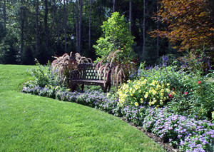 Total Lawn & Garden Care Pic 3