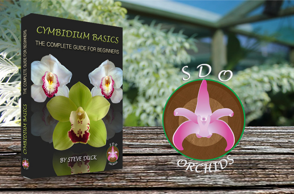 Coastal Quick Pages Pic 1 - Logo design Ebook design and layout for SDO Orchids all created by the Coastal Quick Page team