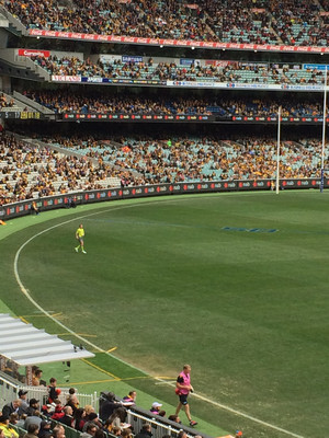 Melbourne Cricket Ground Pic 2