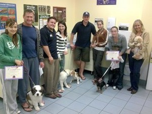 Dog Ease Pic 4 - puppy school