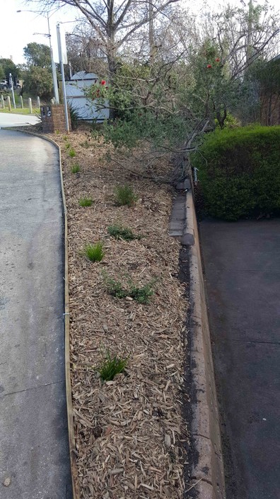 Visages Property Pic 1 - Garden tidy ups