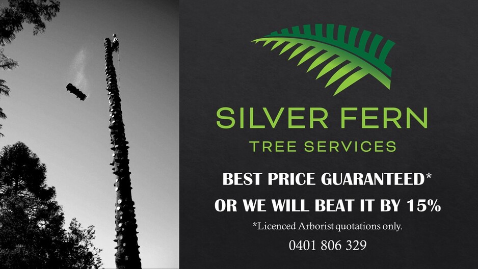 Silver Fern Tree Services Pic 1 - Guaranteed best price or we will beat it by 15 licensed arborist quotes only