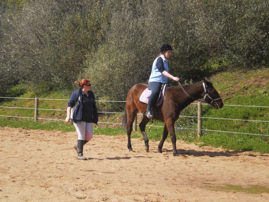 Autour Park Riding School Pic 1