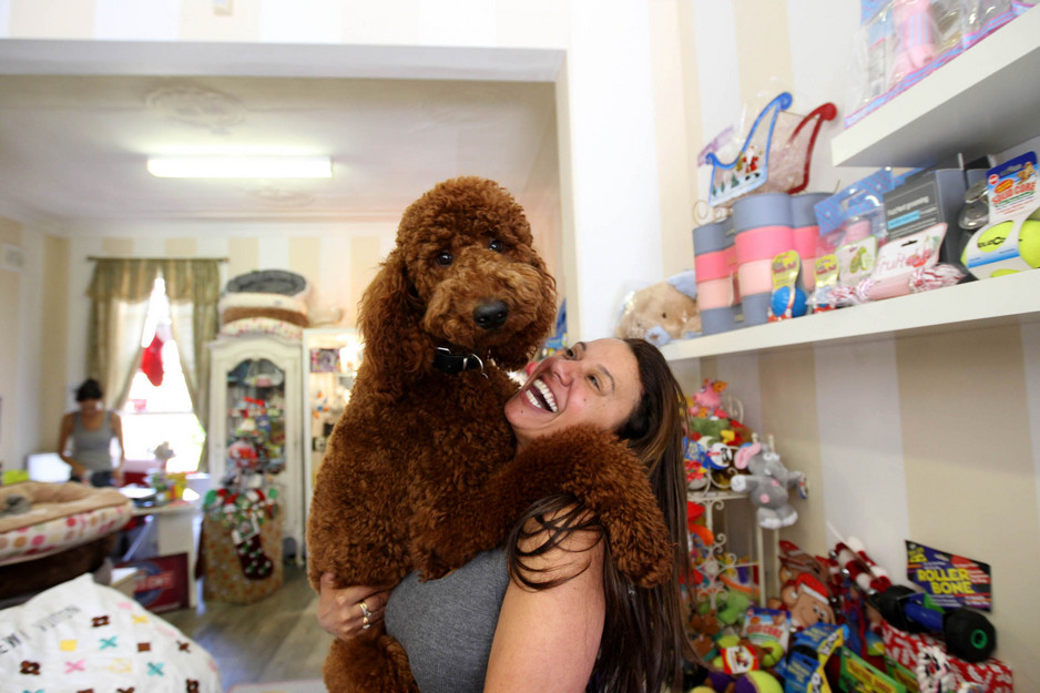 Gorgeous Pets Pic 1 - Ace and Lee fooling around in the shop