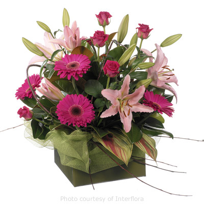 Woodford Kilcoy Florist Pic 1 - Classic pretty Gerberas Roses and Lilies conveniently arranged in a box for long lasting enjoyment and easy care