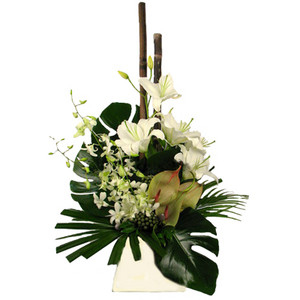 Woodford Kilcoy Florist Pic 3 - Orchids and Lilies in a dramatic flower arrangement