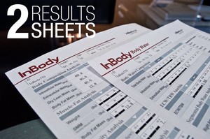 Fitness Key Body Composition Analysis Pic 2 - 2 Pages of detailed results discussed in depth to ensure you understand them