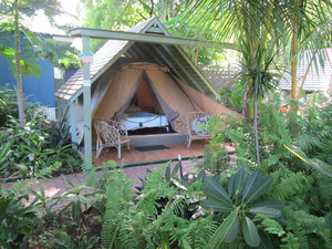 Arcadia Beach Guest House Pic 4 - Safari Tents set up in Tropical Garden setting with queen bedstwo single beds fans bedside lamps shared fascilities and a hammock to relax and listen to the wildlife or just read and sleep