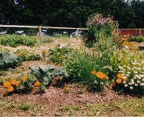 Cypress Hill Bed & Breakfast Pic 1 - Veggie Patch