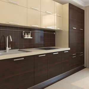 Kitchen Designs Pic 5