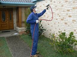 Pest Control Belconnen Pic 3