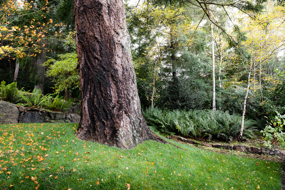 Tom Lever Gardens Pic 1