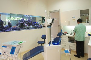 Pyrmont Dental Health Pic 5 - Room 1