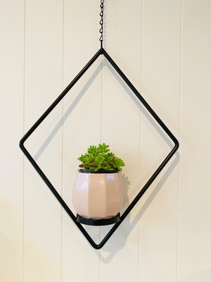 Epiphyte Creations Pic 3 - Diamond Hanging Planter