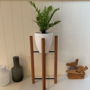 Epiphyte Creations Pic 4 - Narrow 500 Plant Stand