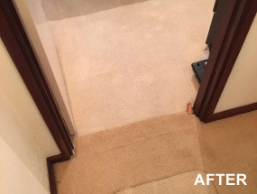 Brilliance Carpet Cleaning Perth Pic 4