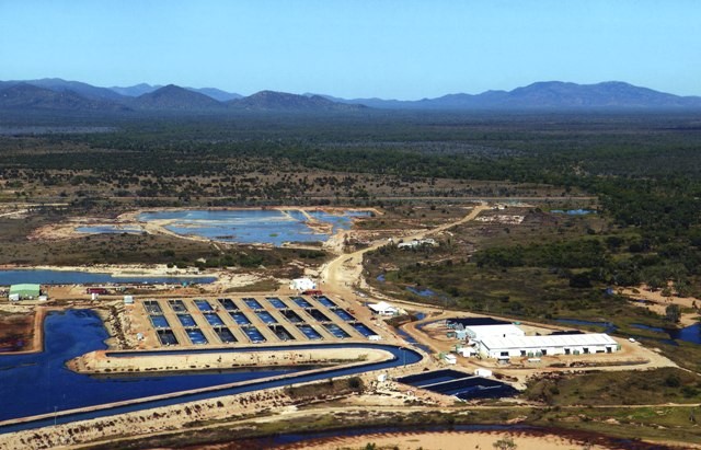 Gfb Fisheries Ltd Pic 1 - GFB Fisheries Bowen Salterwater Barramundi Site