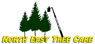 North East Tree Care Pic 1