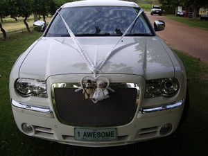 Awesome Limousines Pic 3