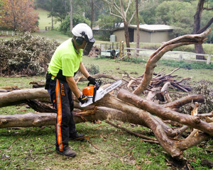 GJS Vegetation Clearing and Maintenance Pic 3