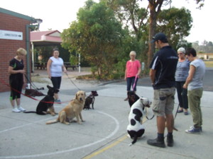 Elite Canines Pic 2 - A group class in Bunyip Pick which one is aggressive