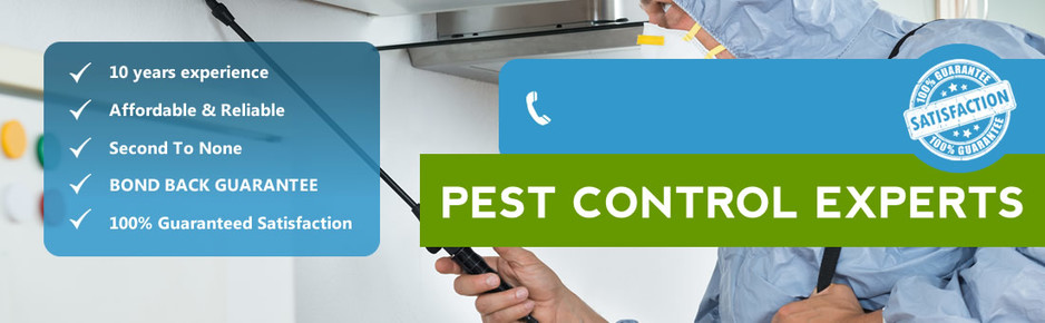 Pro Pest Control Gold Coast Pic 1 - Pro Pest Control Gold Coast