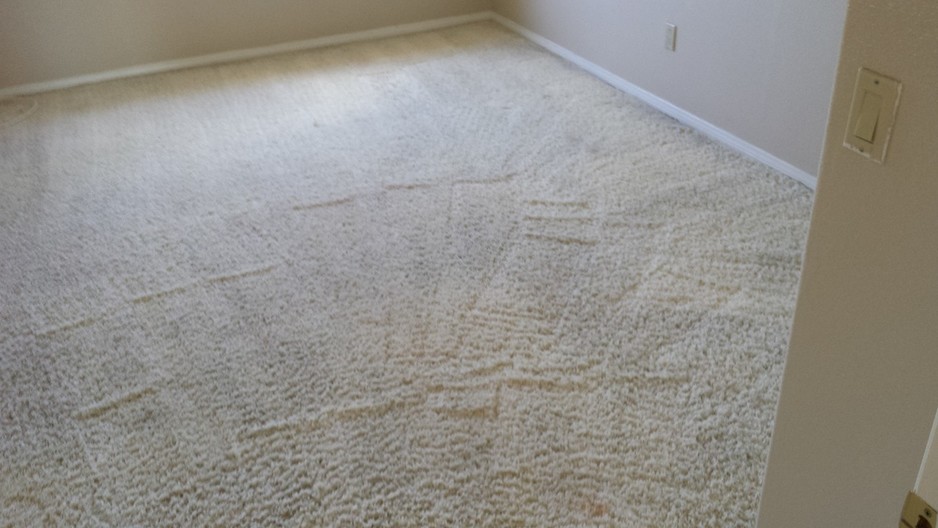 Stellar Carpet Cleaning Pic 1